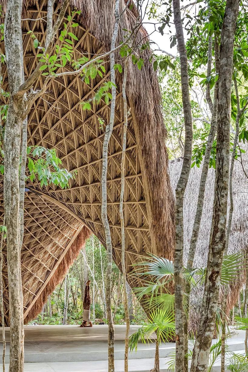 墨西哥竹構造 Mexico Bamboo Strcture LUUM Temple╱CO-LAB Design Office