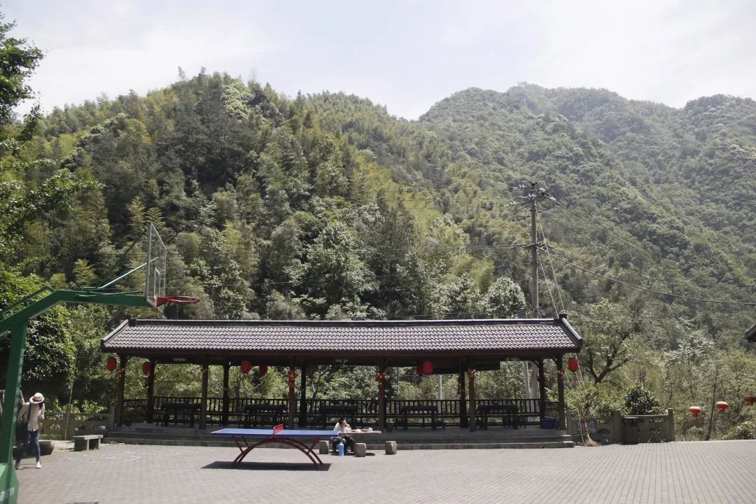 原基地邊的山景©久舍營造工作室 中國杭州臨安「魚樂山房」民宿改造╱久舍營造工作室