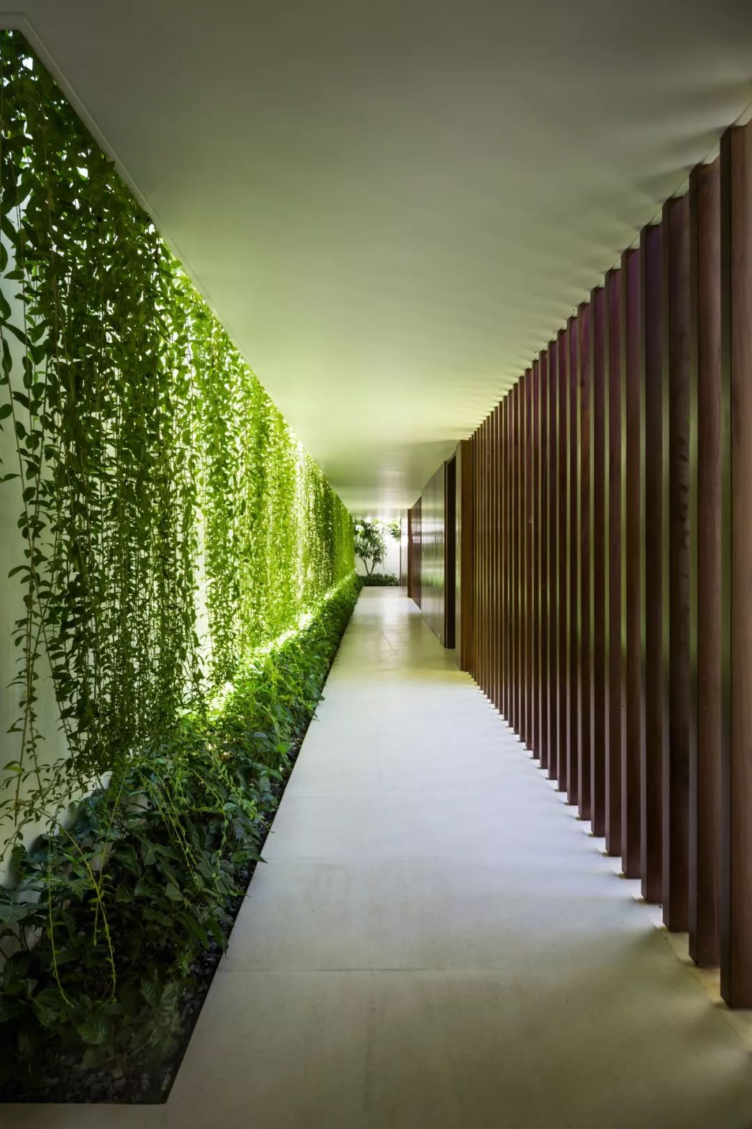 抽屜之屋／MIA Design Studio© Hirouyki Oki