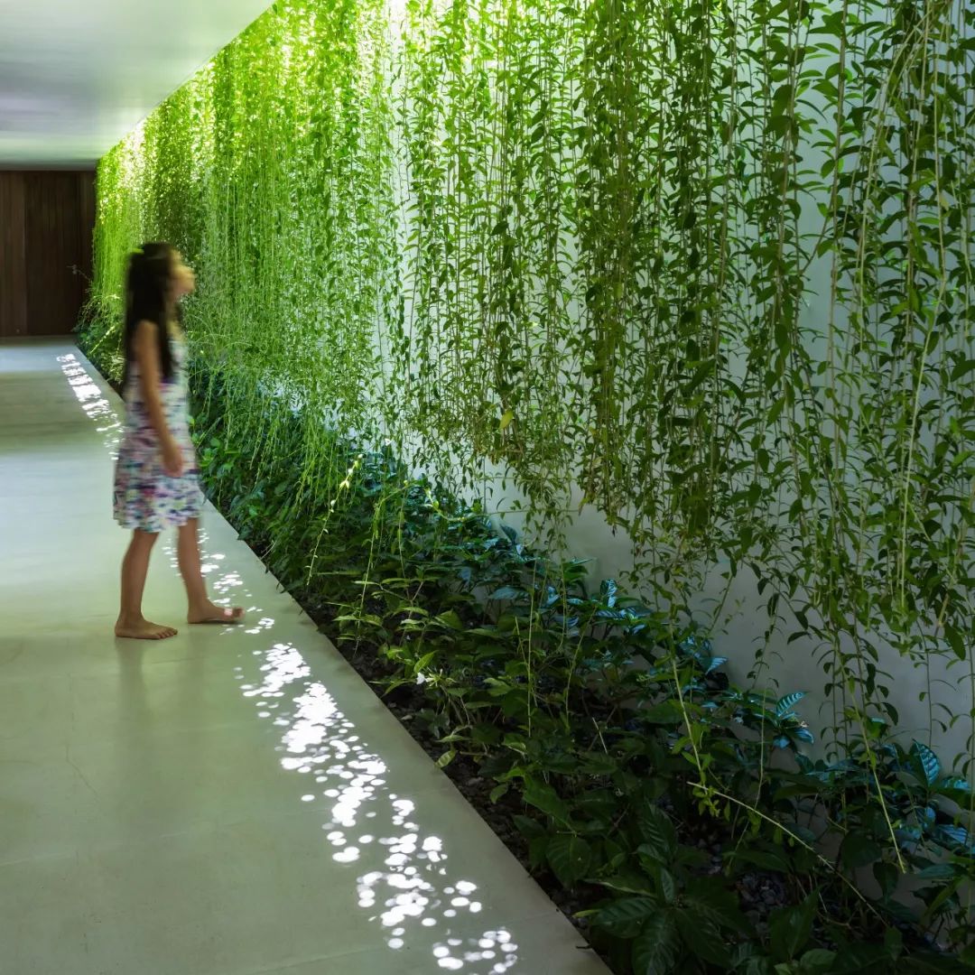 抽屜之屋／MIA Design Studio© Hirouyki Oki