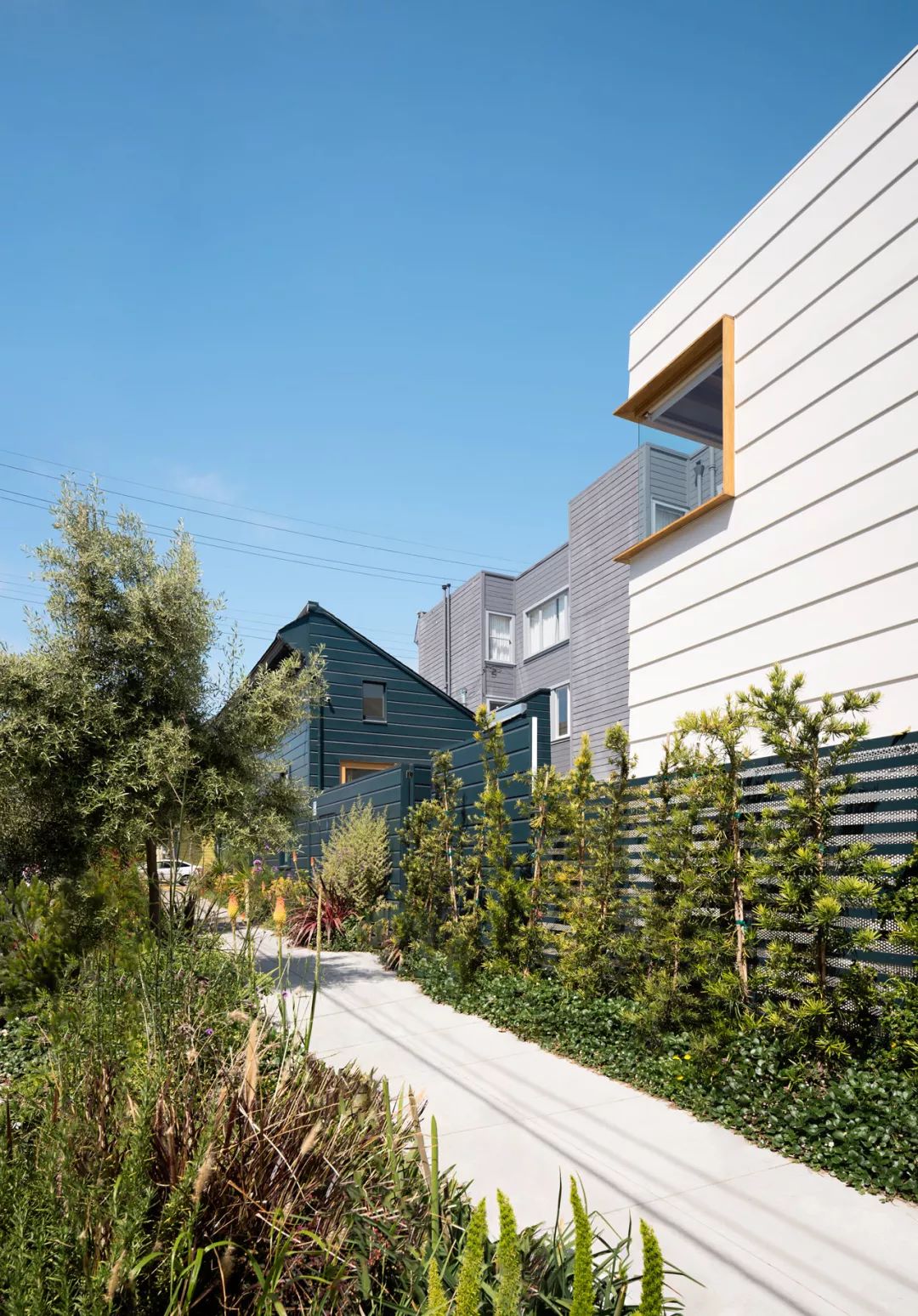 舊金山老屋增建Harrison St. House╱Ryan Leidner Architecture
