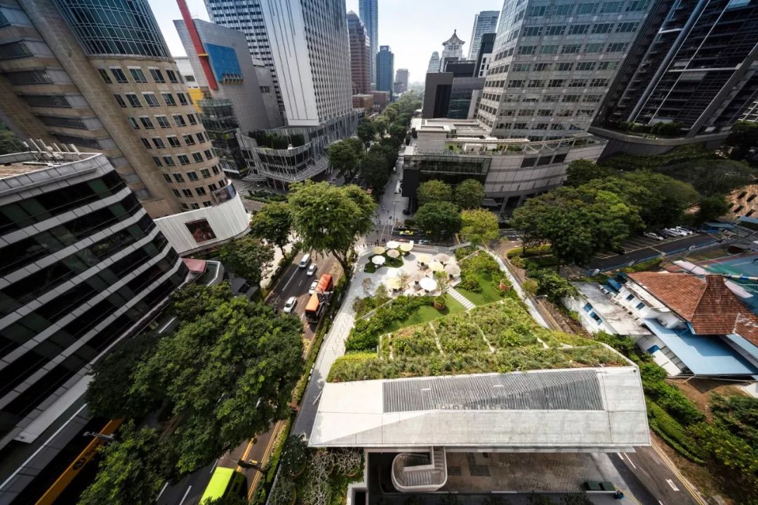 新加坡「設計‧烏節 Design Orchard」 ╱WOHA建築師事務所
