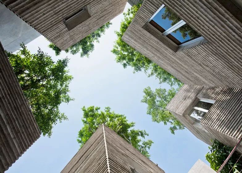 樹屋/武重義建築事務所