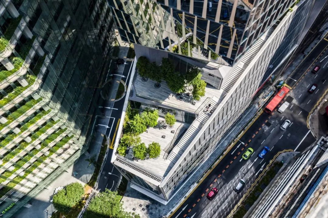 建築屋頂成為一處開放的綠色公共空間 新加坡羅賓遜大樓 Singapore Robinson Tower╱KPF