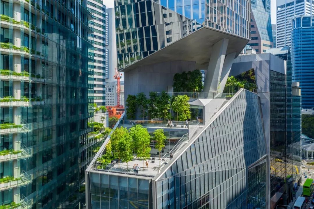 位於建築高層的屋頂花園 Roof Garden Green新加坡羅賓遜大樓 Singapore Robinson Tower╱KPF