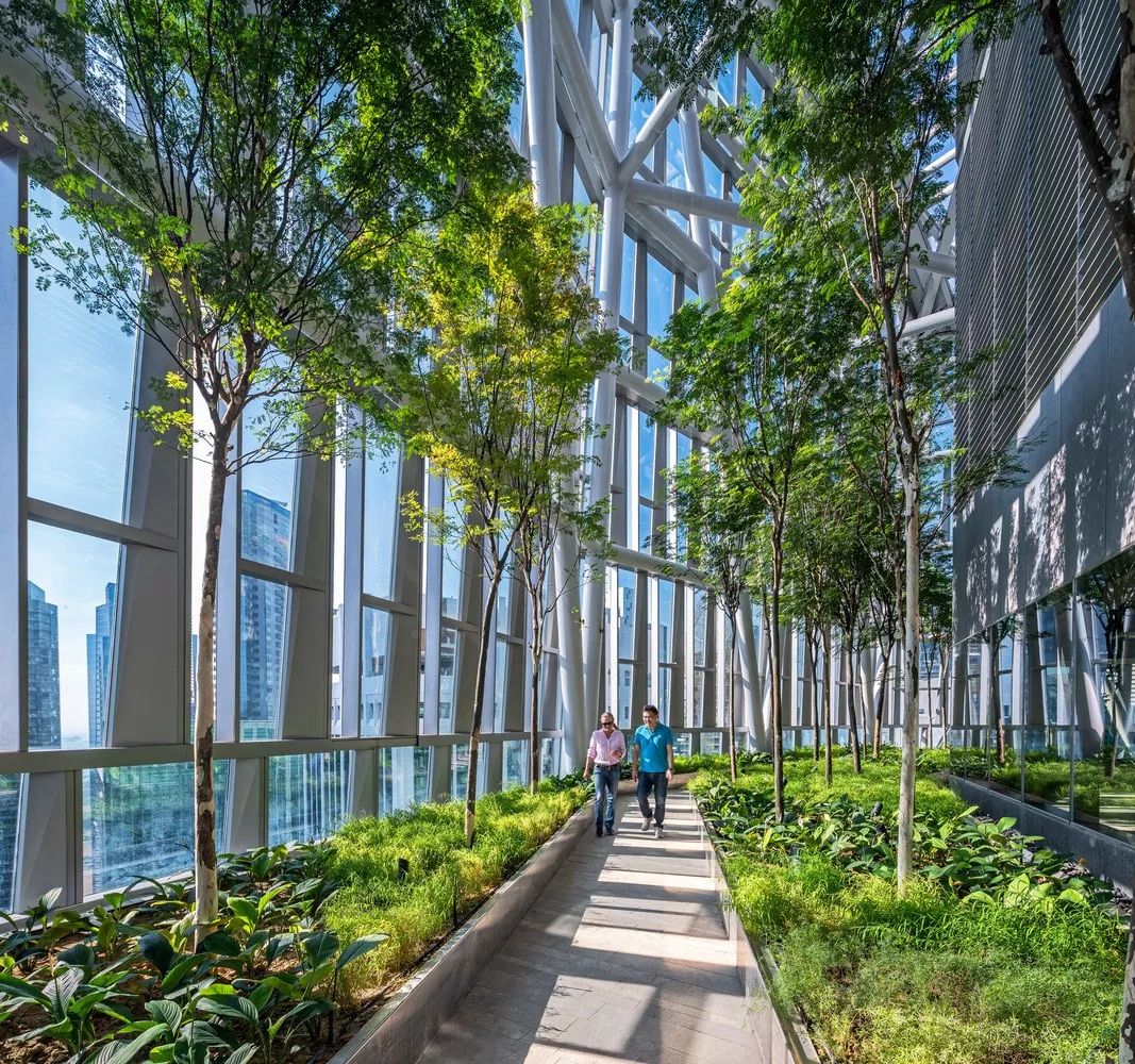 空中花園 新加坡羅賓遜大樓 Singapore Robinson Tower╱KPF