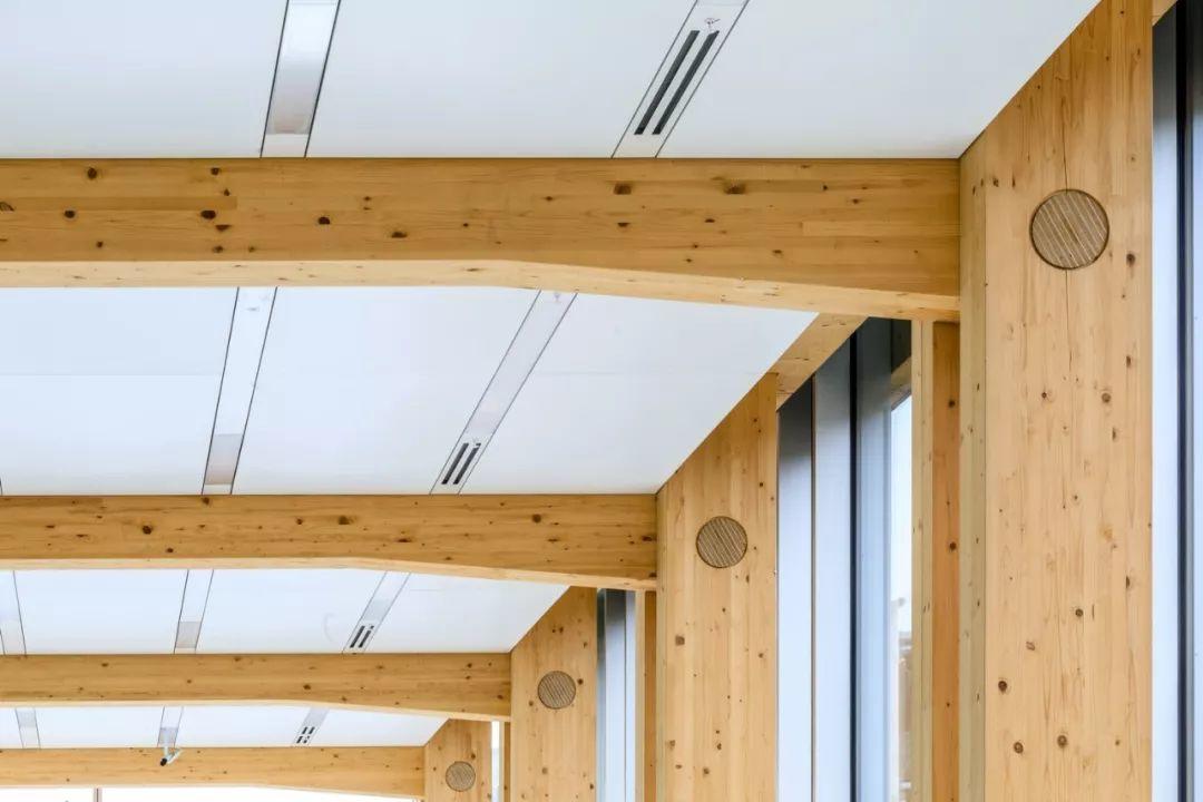 Shigeru Ban - Swatch Omega Park 世界上最大木構造建築