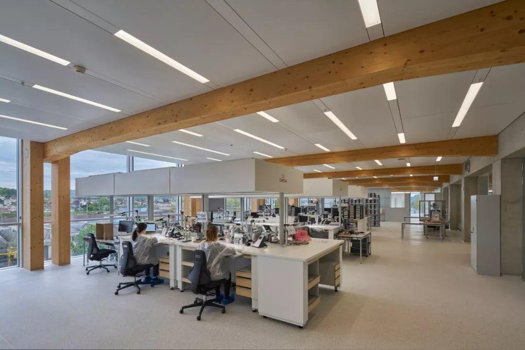 Shigeru Ban - Swatch Omega Park 世界上最大木構造建築