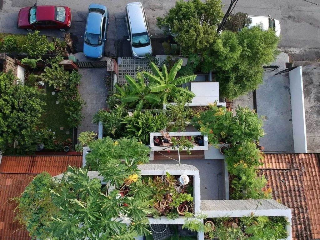 馬來西亞綠建築 垂直綠化 垂直農場 屋頂花園 私人住宅Planter Box House╱Formzero建築師事務所
