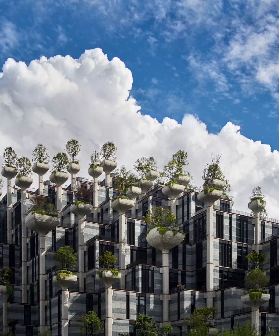 上海1000棵樹即將完工Shanghai╱Thomas Heatherwick Studio