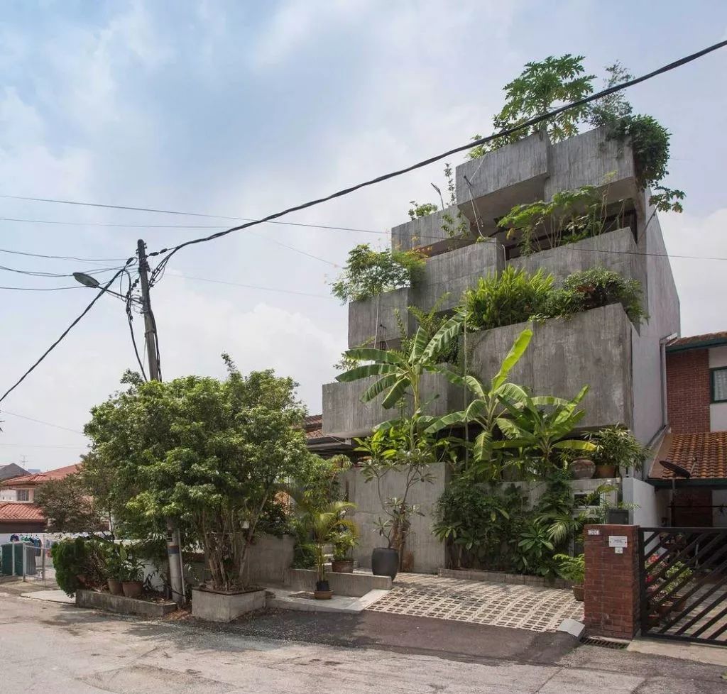 馬來西亞綠建築 垂直綠化 垂直農場 屋頂花園 私人住宅Planter Box House╱Formzero建築師事務所