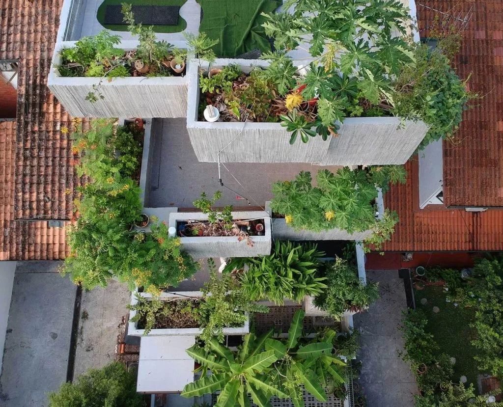 馬來西亞綠建築 垂直綠化 垂直農場 屋頂花園 私人住宅Planter Box House╱Formzero建築師事務所