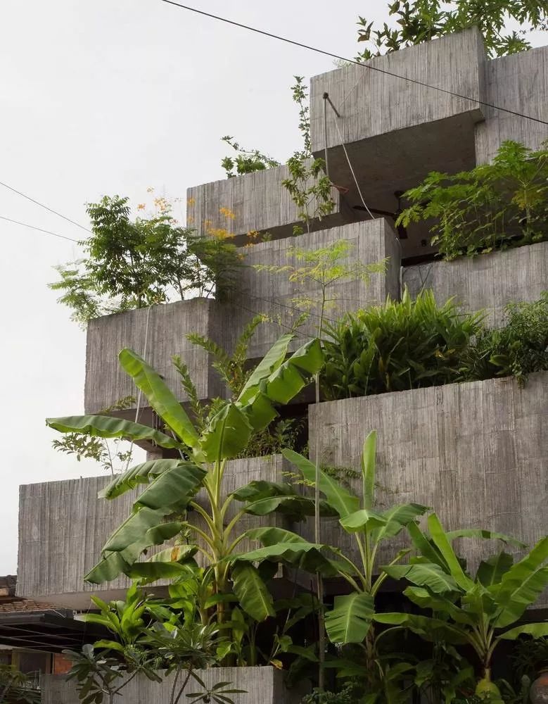 馬來西亞綠建築 垂直綠化 垂直農場 屋頂花園 私人住宅Planter Box House╱Formzero建築師事務所