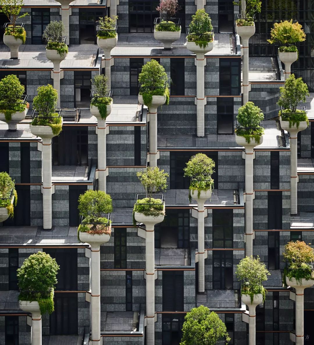 上海1000棵樹即將完工Shanghai╱Thomas Heatherwick Studio