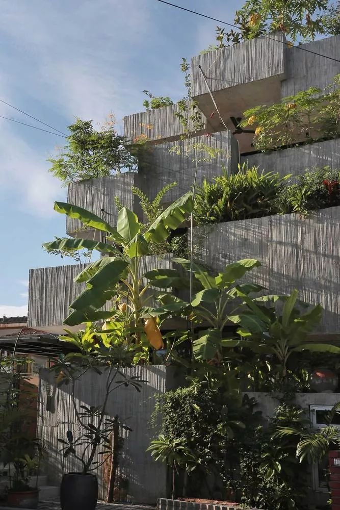 馬來西亞綠建築 垂直綠化 垂直農場 屋頂花園 私人住宅Planter Box House╱Formzero建築師事務所