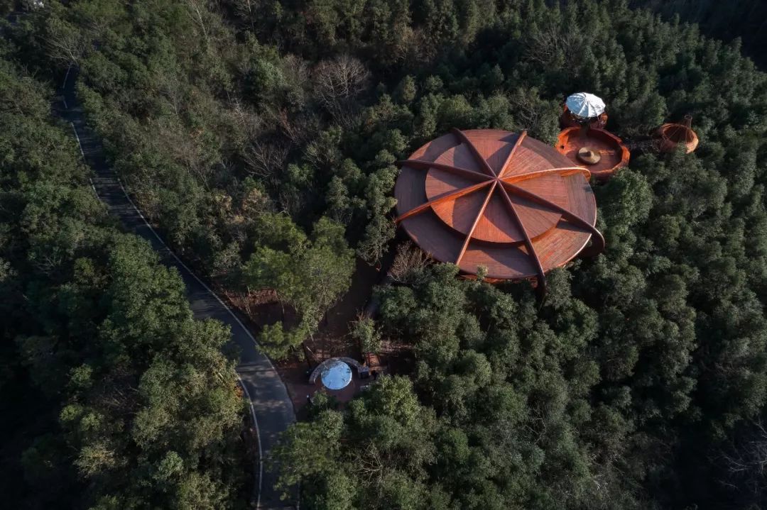自由家樹屋世界 木構造 木造 Timber Structure Tree House╱境瀾建築設計