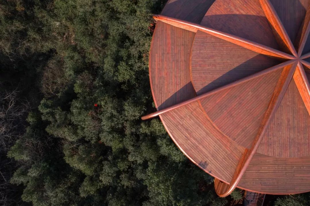 自由家樹屋世界 木構造 木造 Timber Structure Tree House╱境瀾建築設計