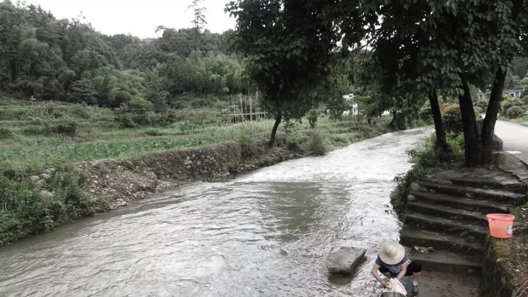 china bamboo structure bridge 懸臂竹構造橋安徽懸岸飛橋╱來建築設計工作室