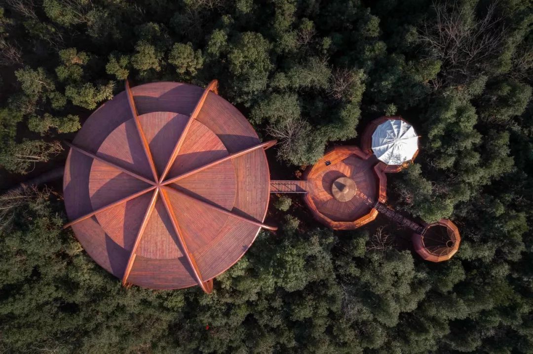 自由家樹屋世界 木構造 木造 Timber Structure Tree House╱境瀾建築設計