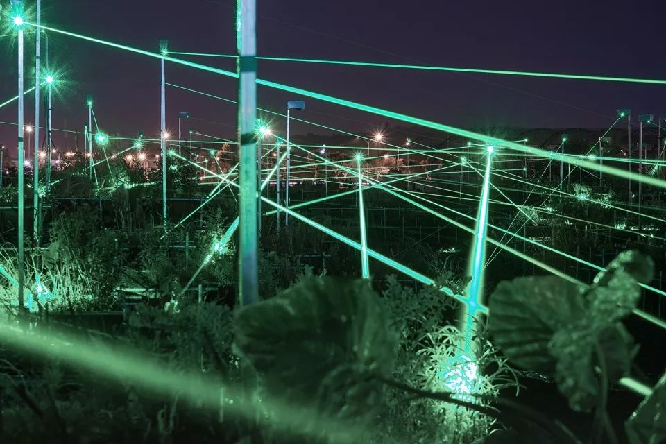 夜景 2018台中世界花卉博覽會后里森林園區景觀設計╱吳書原 太研規劃設計顧問有限公司