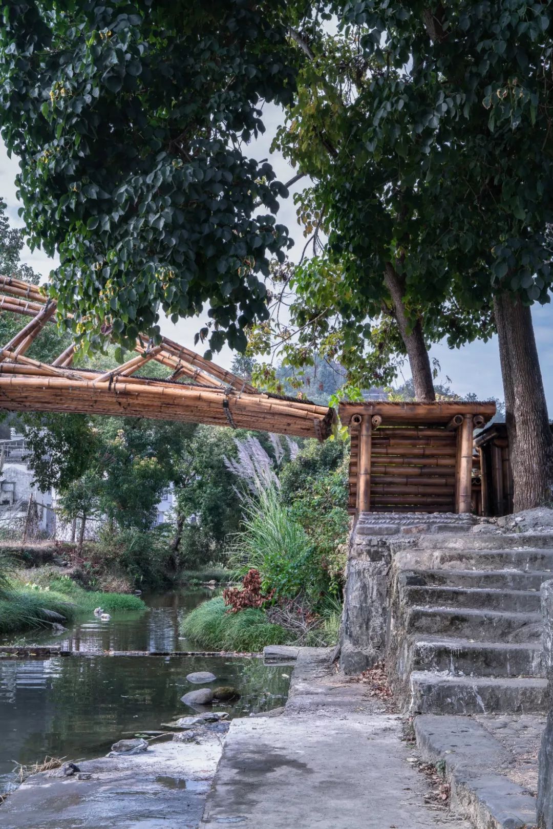 china bamboo structure bridge 懸臂竹構造橋安徽懸岸飛橋╱來建築設計工作室