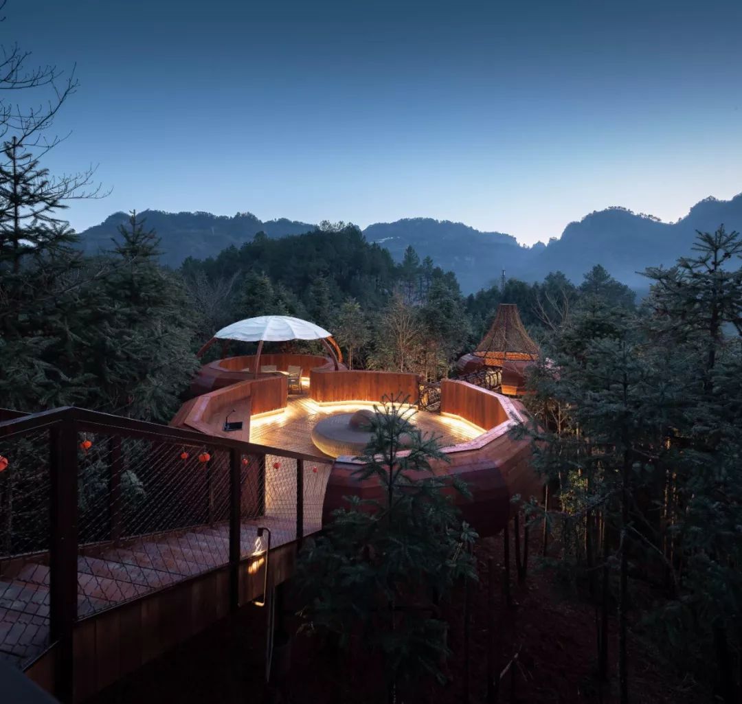 自由家樹屋世界 木構造 木造 Timber Structure Tree House╱境瀾建築設計