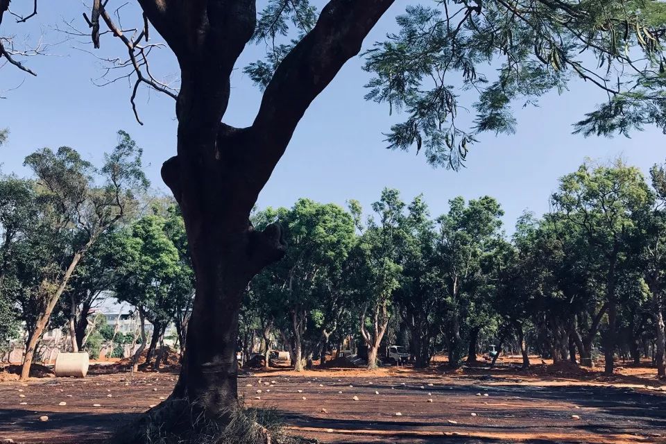 2018台中世界花卉博覽會后里森林園區景觀設計╱吳書原 太研規劃設計顧問有限公司