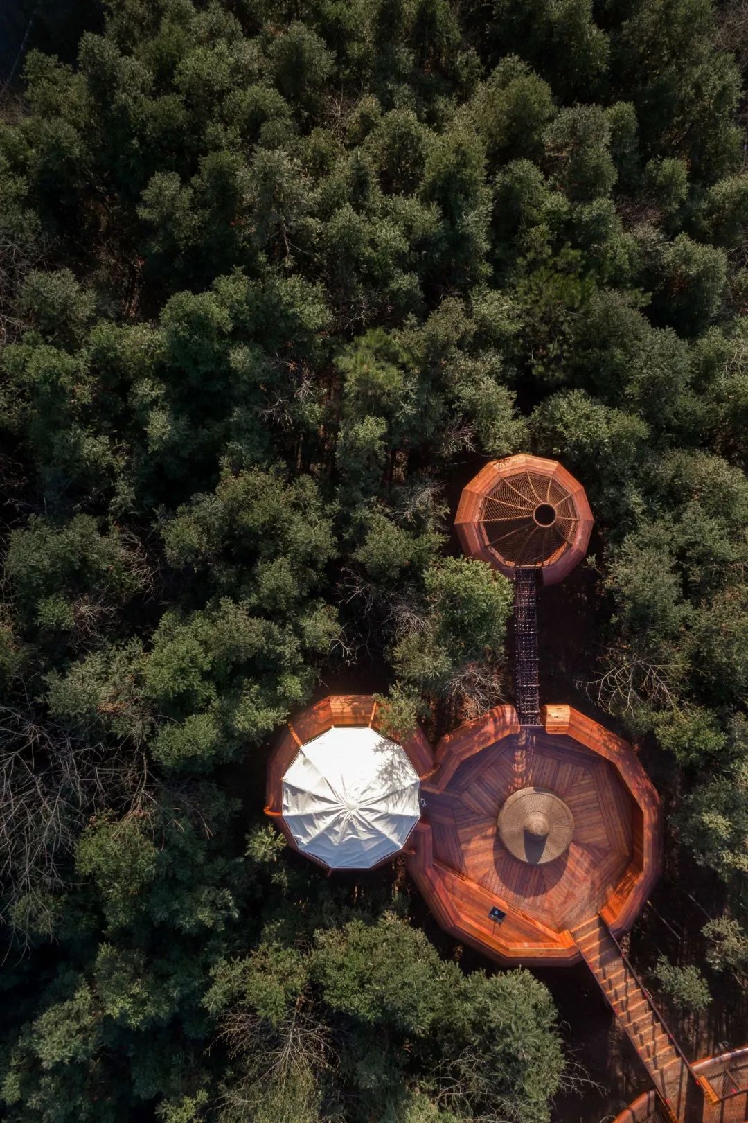自由家樹屋世界 木構造 木造 Timber Structure Tree House╱境瀾建築設計