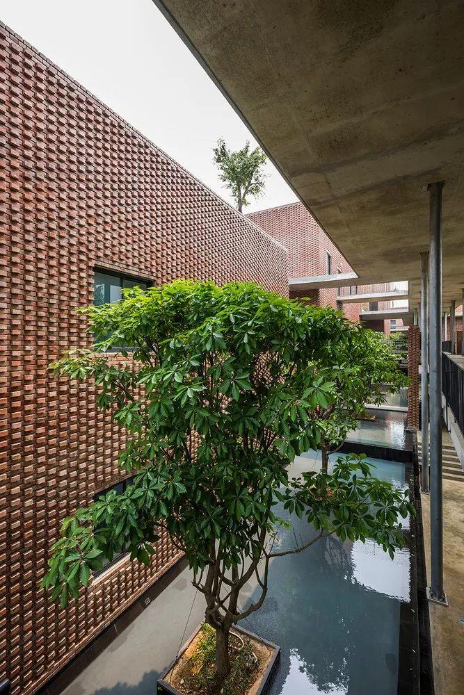 越南電信公司Viettel學院教育中心╱VTN Architects Vo Trong Nghia 武重義建築師事務所