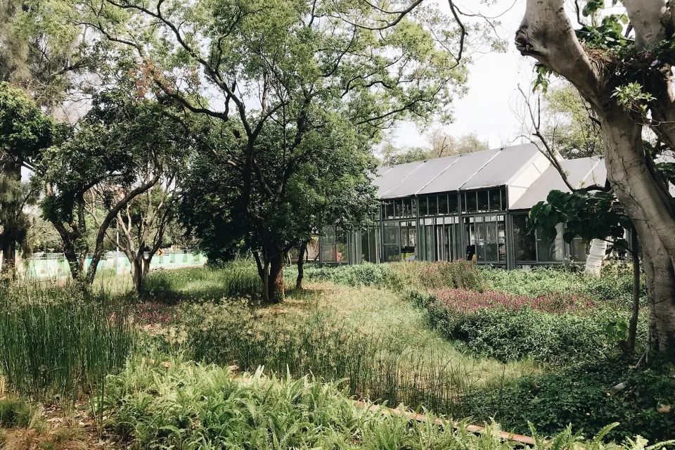 2018台中世界花卉博覽會后里森林園區景觀設計╱吳書原 太研規劃設計顧問有限公司