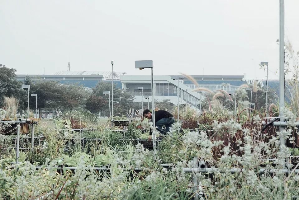 吳書原採用合理的種植技術，保證植物良好生長，台中花博在高鐵烏日站前廣場打造的花博地景裝置藝術，代表台灣拿下「2019 IFLA 世界景觀建築師協會」評審團榮譽獎