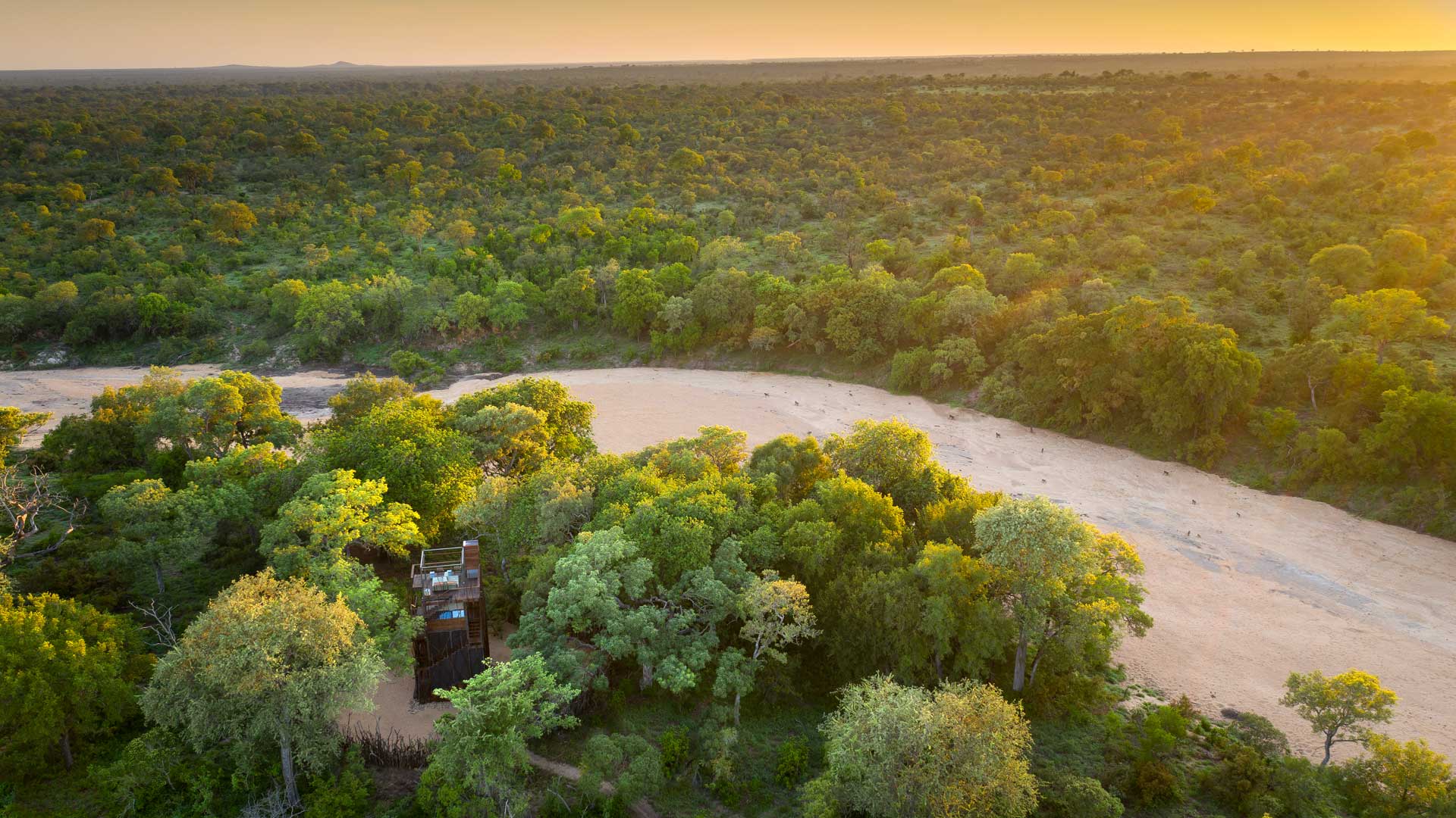 Ngala Treehouse 南非叢林壯闊的日落