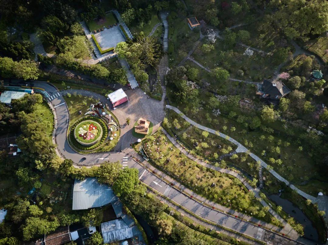 2020年台北陽明山花季,巢境╱ PSW建築設計研究室,攝影:Hey!Cheese