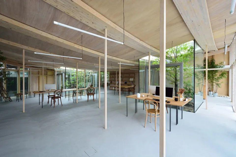 Studio Velocity將這棟辦公室以開放式空間的方式建造，但露天區域的屋頂則保持了它的私密性；它被周圍密集的建築物所包圍，建築師所設計的大型曲面屋頂就像是漂浮在這些密集的住宅之中，且不同於周遭建築的屋頂設計，樹木透過開口向上生長，頂部不僅作為辦公室的屋頂，更像是一座小型的公園，人們聚集於此，愜意與舒適的氛圍讓這棟建物完全不如過去記憶中的傳統辦公室樣貌。
