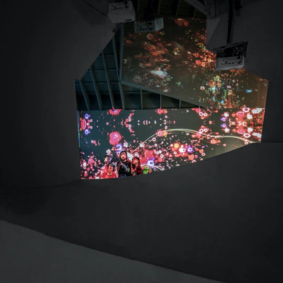 2020年台北陽明山花季，巢境╱ PSW建築設計研究室，攝影：OS Studio