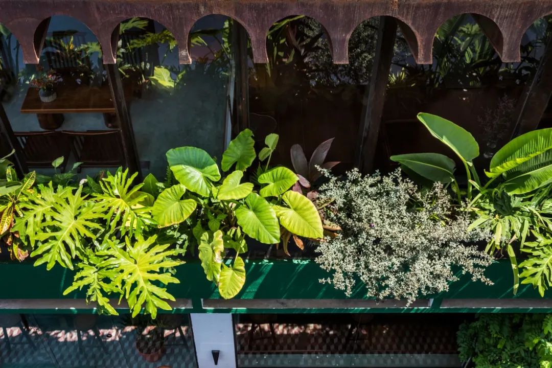 老房改裝的咖啡廳，越南峴港市Namra Coffee╱D1 Architectural Studio