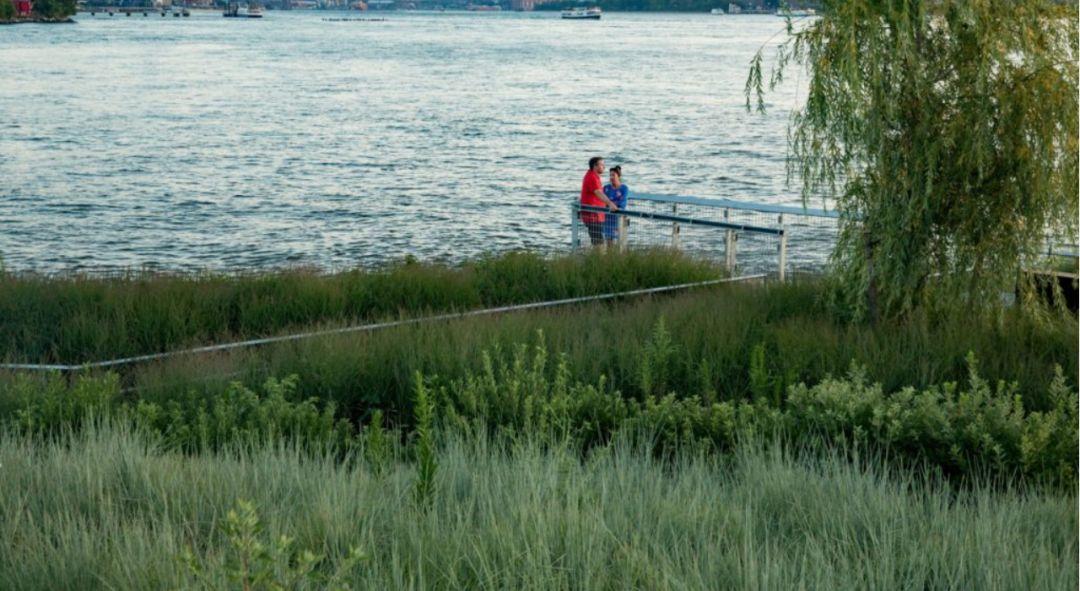 紐約獵人角南濱水公園 Hunter’s Point South Park 