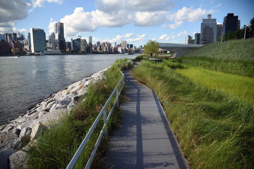 紐約獵人角南濱水公園 Hunter’s Point South Park 