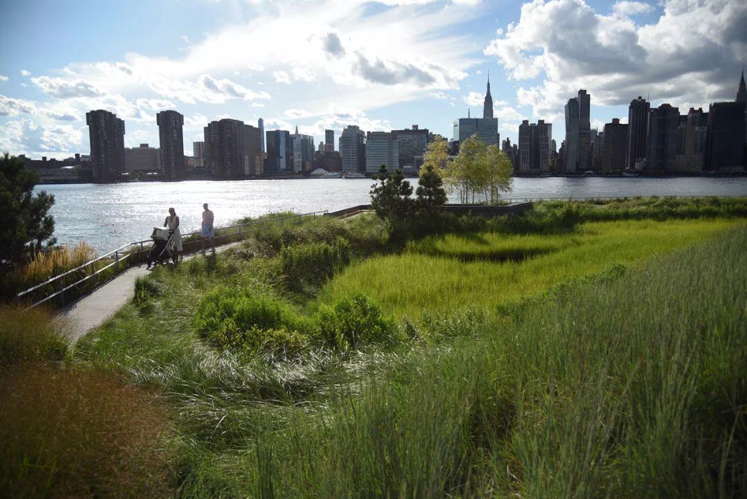 紐約獵人角南濱水公園 Hunter’s Point South Park 