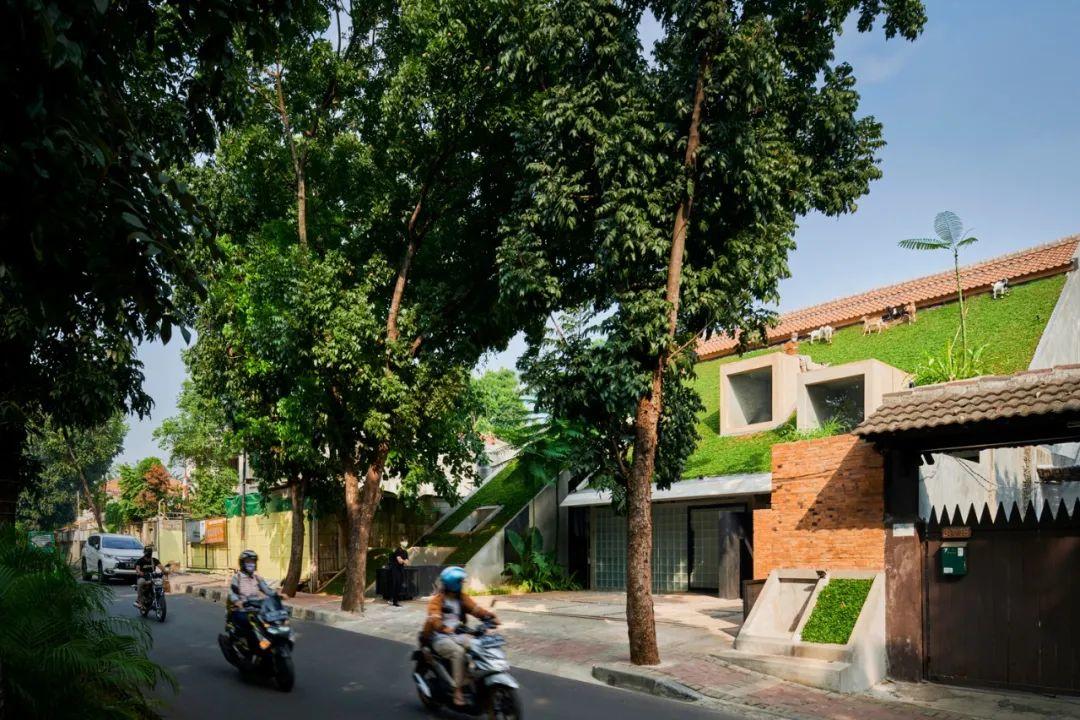 indonesia green architecture 印尼RAD+ar企業總部 綠建築 斜屋頂植草 綠屋頂 green slope roof