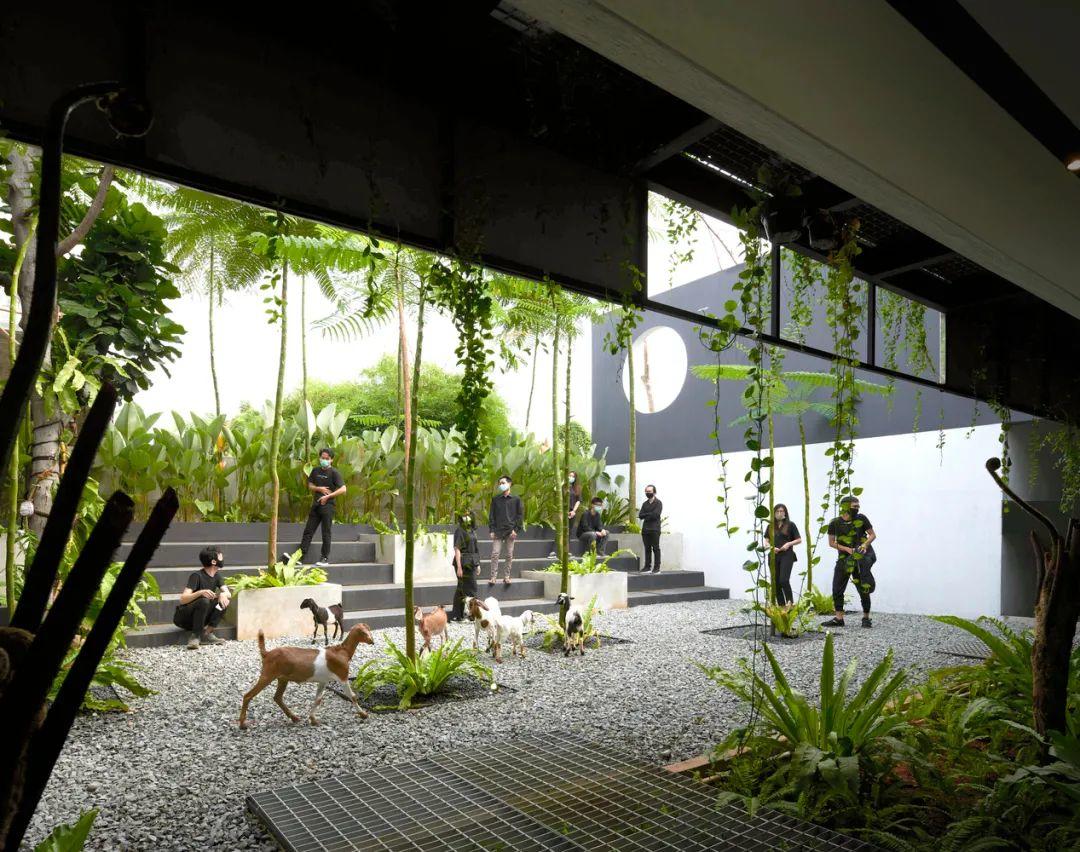 indonesia green architecture 印尼RAD+ar企業總部 綠建築