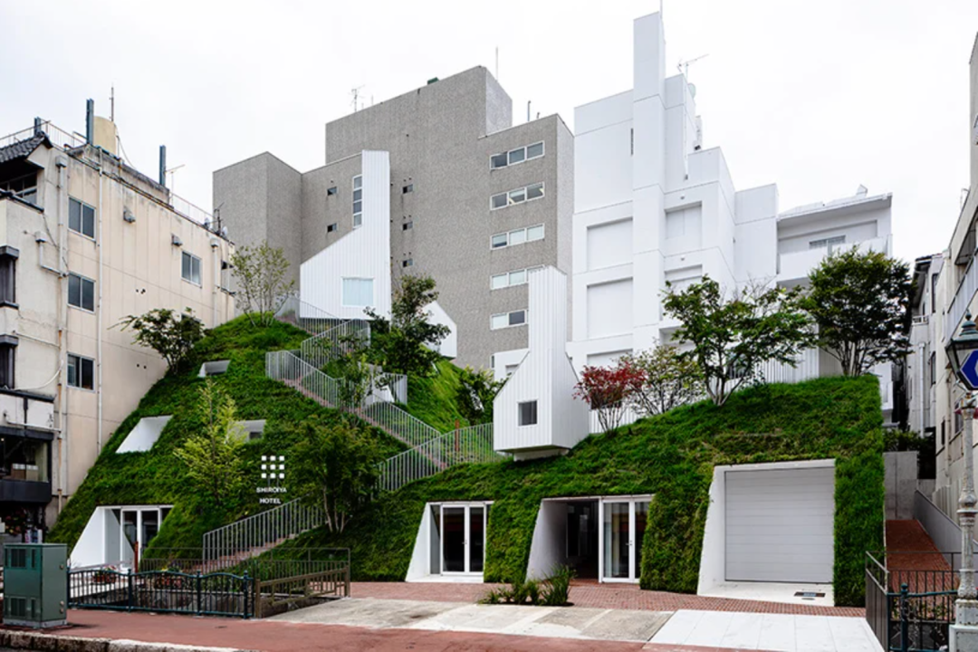 白井屋酒店（Shiroiya Hotel）改造之後變成一座綠色山丘和後面的白色建築© shinya kigure