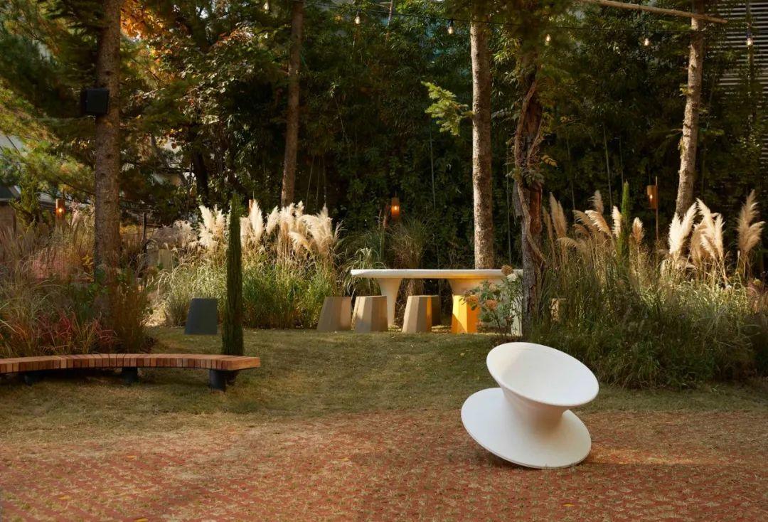 首爾餐廳Roly Poly Cotto／studioVASE