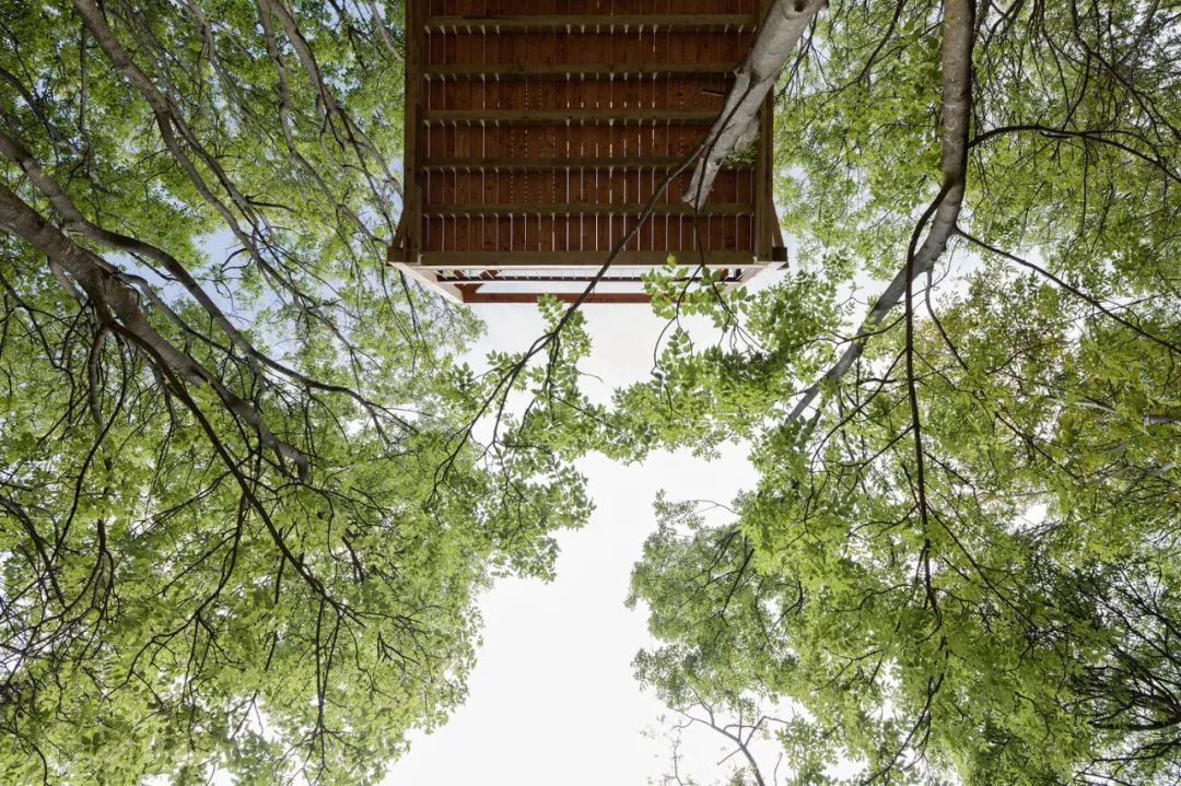 匈牙利度假木屋 木頭小屋 Hungary Wood wooden timber House on 12 Legs／RJZS Architects