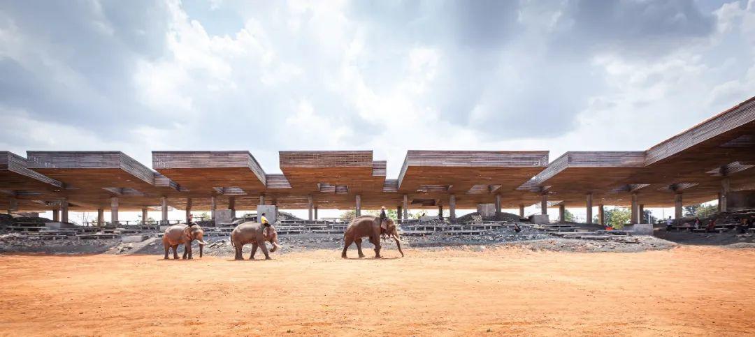 泰國大象世界Elephant World象村(หมู่บ้านช้างจังหวัดสุรินทร์)／Bangkok Project Studio