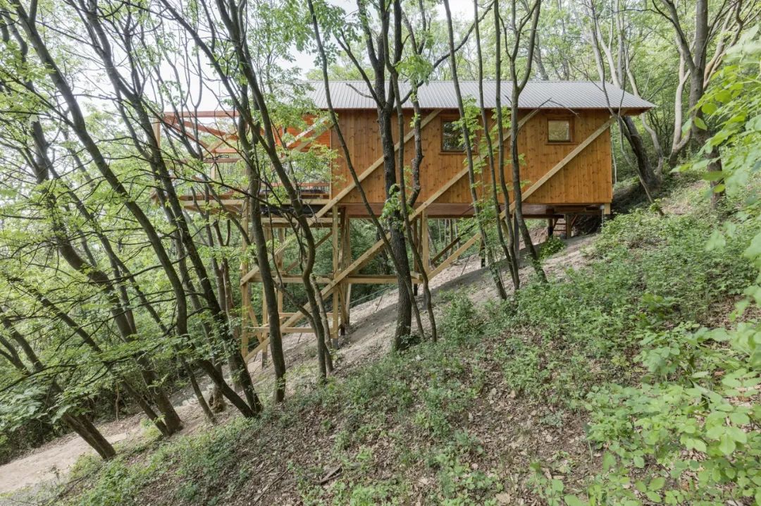 匈牙利度假木屋 木頭小屋 Hungary Wood wooden timber House on 12 Legs／RJZS Architects