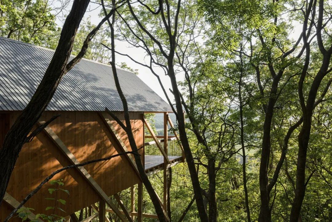 匈牙利度假木屋 木頭小屋 Hungary Wood wooden timber House on 12 Legs／RJZS Architects