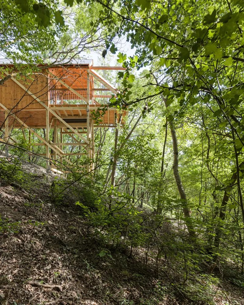 匈牙利度假木屋 木頭小屋 Hungary Wood wooden timber House on 12 Legs／RJZS Architects