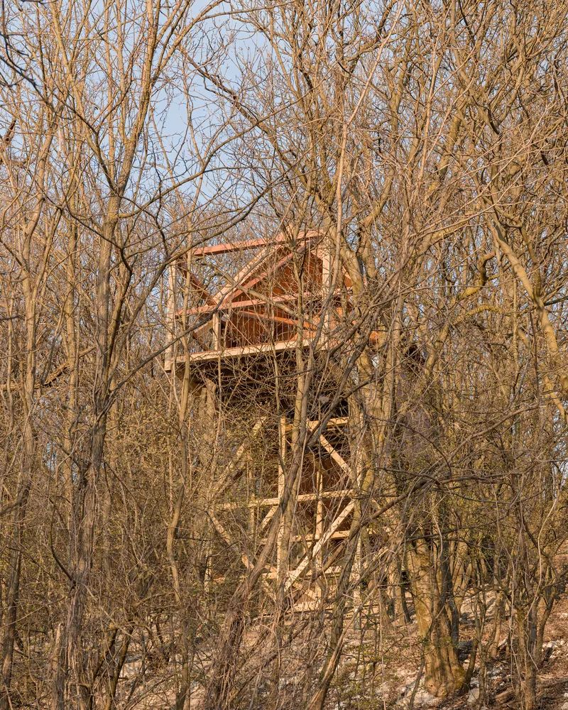 匈牙利度假木屋 木頭小屋 Hungary Wood wooden timber House on 12 Legs／RJZS Architects