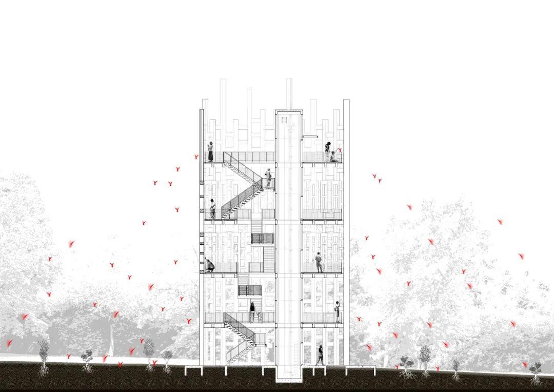 泰國大象世界Elephant World象村(หมู่บ้านช้างจังหวัดสุรินทร์)／Bangkok Project Studio